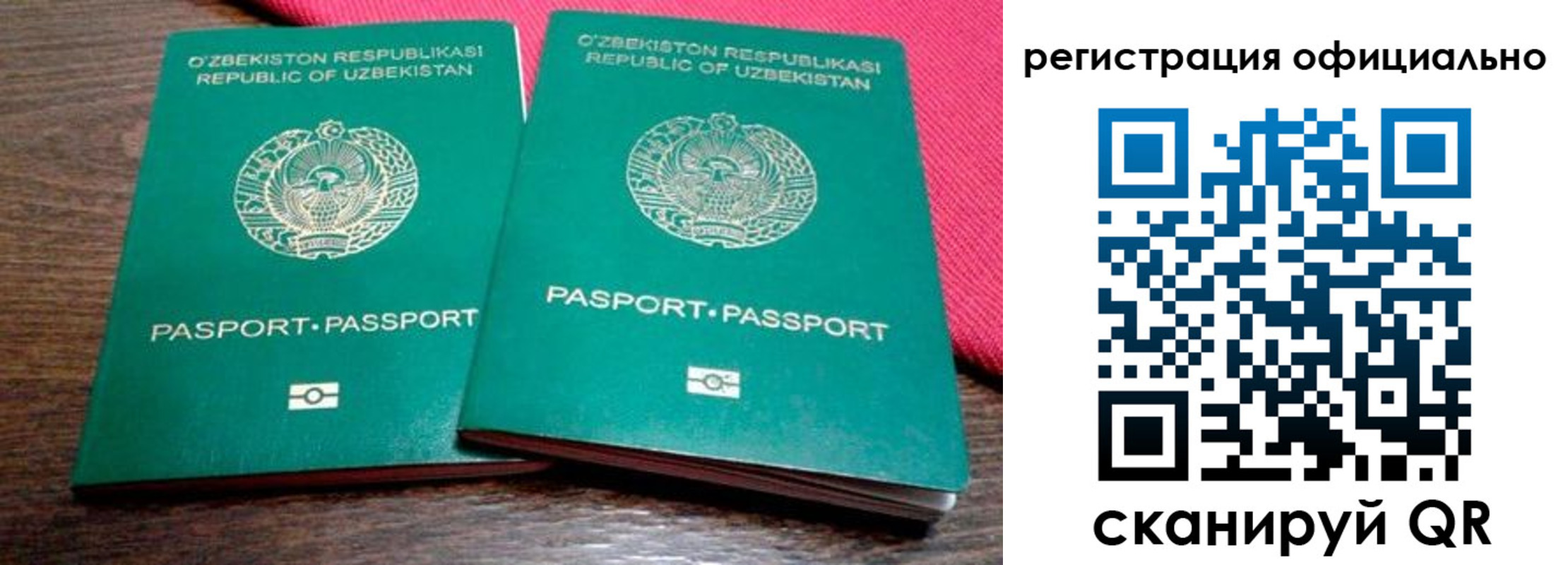 прописка регистрация в Кольчугино